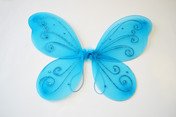 Click to enlarge : Turquoise Little Fairy Wing