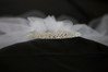 Rhinestone Princes Crown With Veil