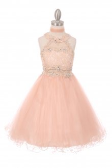 Blush Dazzling Halter Neck Laced Rhinestone Tulle Dress