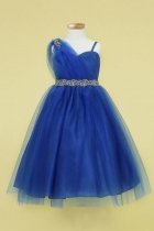 Royal Blue One Shoulder Tulle Dress