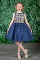 Navy Gold Ruffled Skirt Dress