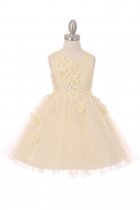 Champagne Beautiful 3D Flower Dress