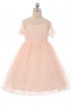 Pink Mesh Sleeve Dress