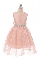 Blush Stunning High-low S Shape Dress