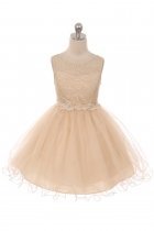 Champagne Beautiful Puffy Tulle Dress