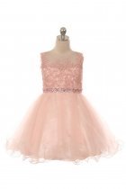 Blush Luxurious Girl Dress