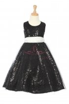 Black Sleeveless Tulle Sequin Dress