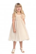 Champagne Soft tulle overlay empire dress with Short Sleeves