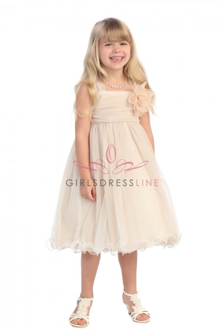 Champagne Soft tulle overlay empire dress with Short Sleeves Champagne Soft tulle overlay empire dress with Short Sleeves
