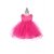 Fuchsia Fuchsia