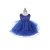 Royal Blue Royal Blue