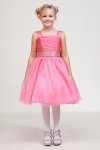 Bubble Pink Bubble Pink
