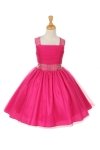 Fuchsia Fuchsia