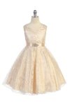 Fuchsia Lace Floral Pattern Flower Girl Dress with Removable Satin Sash