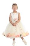 Ivory/Pink