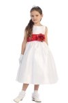Ivory/Burgundy Flowers and Sash Flower Girl Dress