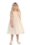 Rose Soft tulle overlay empire dress with Short Sleeves