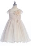 Rose Soft tulle overlay empire dress with Short Sleeves