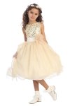 Gorgeous Fuchsia Sequined Round Neck Tulle Overlaid Girl Dress