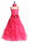 Fuchsia Fuchsia
