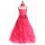 Fuchsia Fuchsia