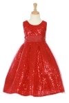 Fuchsia Sleeveless Tulle Sequin Dress