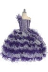 Purple/Silver
