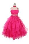 Fuchsia Fuchsia