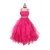 Fuchsia Fuchsia