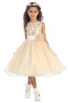Gorgeous Fuchsia Sequined Round Neck Tulle Overlaid Girl Dress