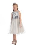 Gorgeous Fuchsia Sequined Round Neck Tulle Overlaid Girl Dress