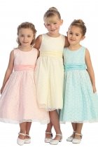 Girls Sleeveless Lace and Taffeta Dress