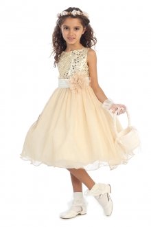 Gorgeous Gold Sequined Round Neck Tulle Overlaid Girl Dress