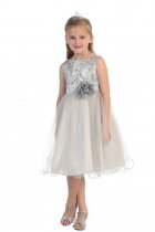 Gorgeous Silver Sequined Round Neck Tulle Overlaid Girl Dress
