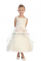 Ivory Sleeveless Organza Satin Embroidered Dress