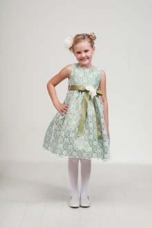 Sage/Sage Elegant Lace Flower Girl Dress
