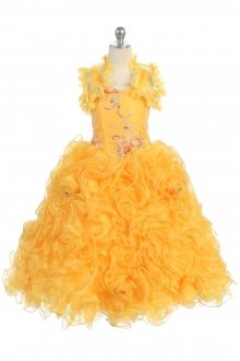 Yellow Embroidered Organza Ruffled Dress with Matching Shrug Yellow Embroidered Organza Ruffled Dress with Matching Shrug