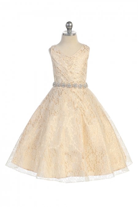 Champagne Gorgeous Tulle Lace V-Neck A-Line Flower Girl Dress with Crystal Sash Champagne Gorgeous Tulle Lace V-Neck A-Line Flower Girl Dress with Crystal Sash