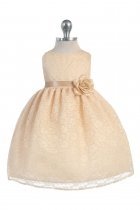 Champagne Lovely Floral Lace Baby Girl Dress 