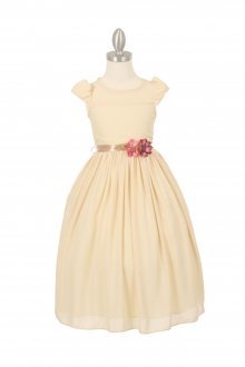 Champagne Chiffon Short Sleeves Flower Girl Dress