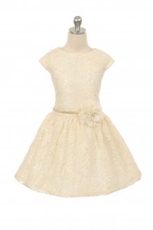 Champagne Short Sleeve Sequence & Embroidered Flower Girl Dress