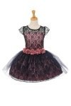 Navy/Rose