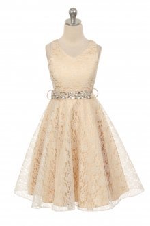 Champagne Lace Floral Pattern Flower Girl Dress with Beaded Waist Champagne Lace Floral Pattern Flower Girl Dress with Beaded Waist
