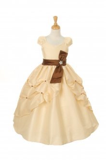 Champagne Cap Sleeves Pick Up Skirt Flower Girl Dress Champagne Cap Sleeves Pick Up Skirt Flower Girl Dress