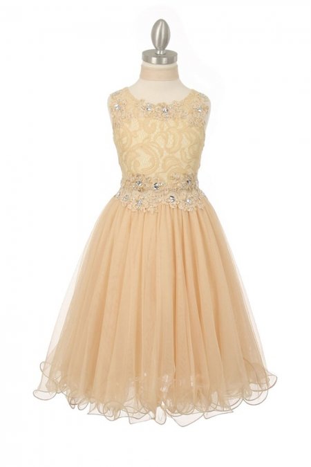 Champagne Sleeveless Lace Flower Girl Dress with See Through Waistline