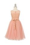 Champagne Sleeveless Lace Flower Girl Dress with See Through Waistline