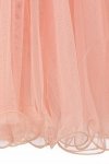 Champagne Sleeveless Lace Flower Girl Dress with See Through Waistline