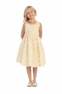 Champagne Mesh Sleeveless Embroidered Flower Girl Dress with Beaded Waist