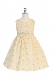 Champagne Mesh Sleeveless Embroidered Flower Girl Dress with Beaded Waist