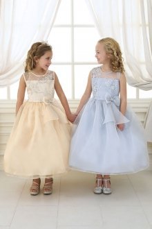 Champagne Embroidered Bodice Flower Girl Dress with Overlay Organza Skirt 